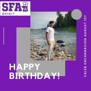 Image post by @sfa_cheer_ on Instagram