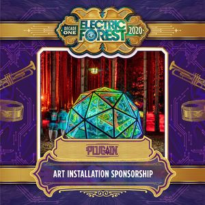 Image post by @electric_forest on Instagram