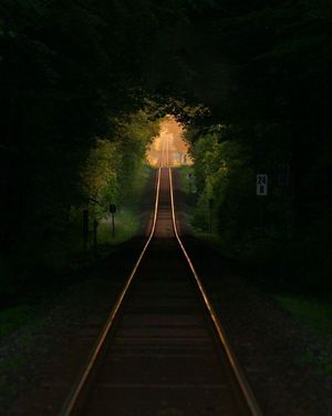 Image post by @fubiz on Instagram