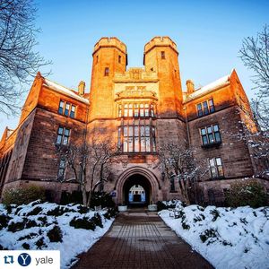 Image post by @yalevolleyball on Instagram