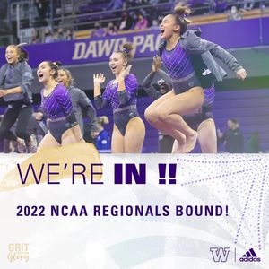 Image post by @uwgymnastics on Instagram