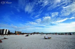 Image post by @visitsarasotacounty on Instagram