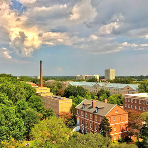 Image post by @uofsc on Instagram