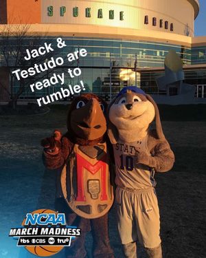 Image post by @gojackssdsu on Instagram