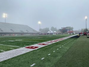 Image post by @niuhuskies on Instagram