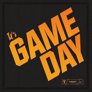 Image post by @vol_softball on Instagram