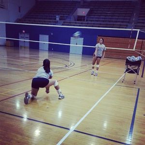 Image post by @utepvb on Instagram