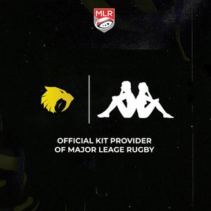 Image post by @houstonsabercats on Instagram