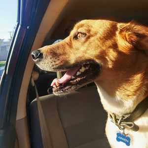 Image post by @jonathn_roberts on Instagram