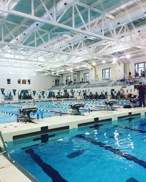Image post by @pennswimdive on Instagram