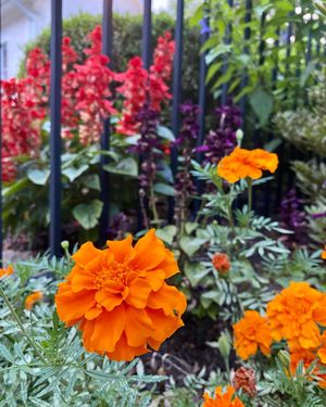 Image post by @adphotography_lab on Instagram