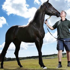 Image post by @australianturfclub on Instagram