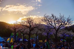 Image post by @nocturnalwland on Instagram