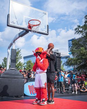 Image post by @bennythebull on Instagram