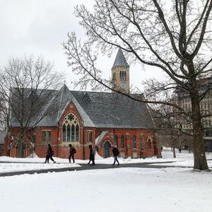 Image post by @cornellstudentlife on Instagram