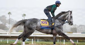 Image post by @breederscup on Instagram