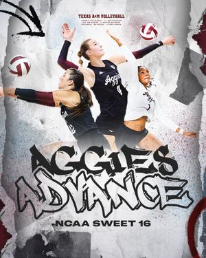 Image post by @AggieVolleyball on Twitter
