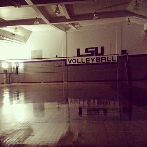 Image post by @lsuvolleyball on Instagram