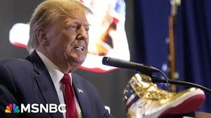 Video post by @msnbc on YouTube