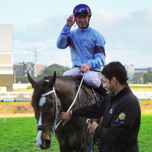 Image post by @australianturfclub on Instagram