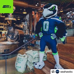 Image post by @blitztheseahawk on Instagram