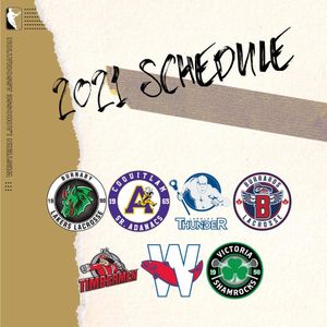 Image post by @wlalacrosse on Instagram