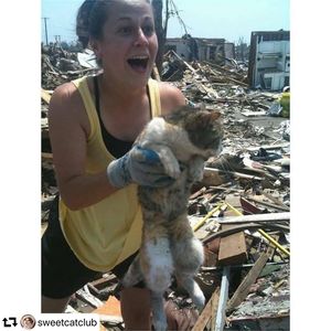 Image post by @ellendegeneres on Instagram