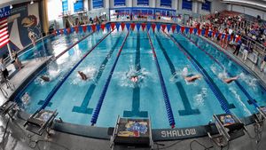 Image post by @kuswimdive on Instagram