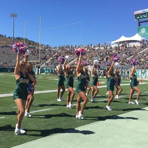 Image post by @csugoldenpoms on Instagram