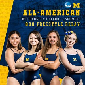 Image post by @umichswimdive on Instagram