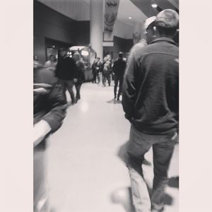 Image post by @swamprabbits on Instagram