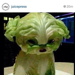 Image post by @onwardnation on Instagram