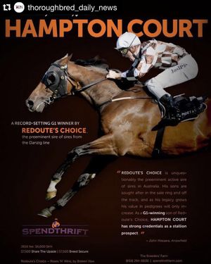 Image post by @spendthriftfarm on Instagram