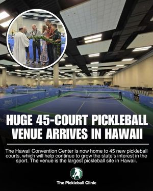 Image post by @thepickleballclinic on Instagram