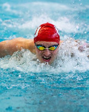 Image post by @utahswimdive on Instagram