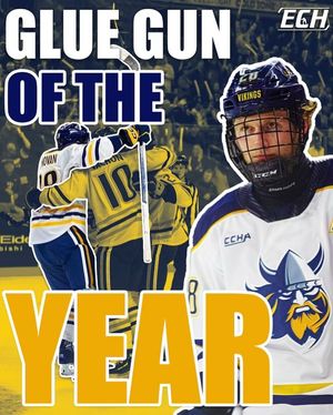 Image post by @everythingcollegehockey on Instagram