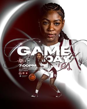 Image post by @aggiewbb on Instagram