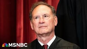 Video post by @msnbc on YouTube