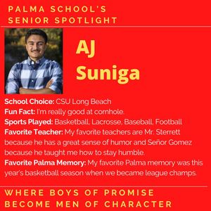 Image post by @palma_school on Instagram