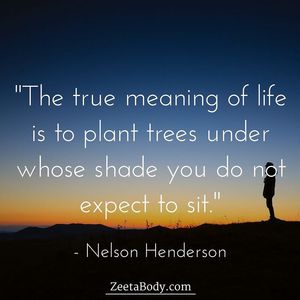 Image post by @zeetabody on Instagram