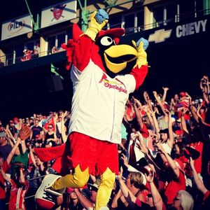 Image post by @springfield_cardinals on Instagram