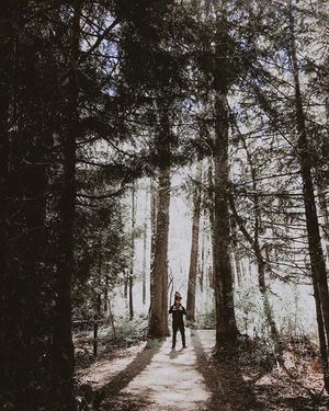 Image post by @tourismabbotsford on Instagram