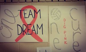 Image post by @wvwc_vb on Instagram
