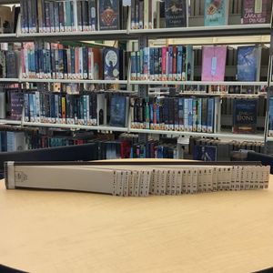 Image post by @stjohnscountylibrary on Instagram