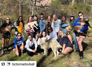 Image post by @bctornados on Instagram