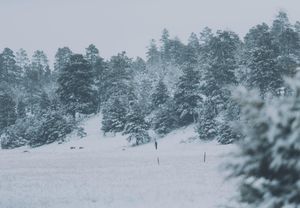 Image post by @nauflagstaff on Instagram