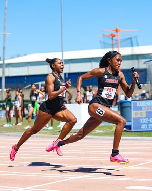 Image post by @gatorstf on Instagram
