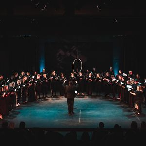 Image post by @cardinalis_wjc on Instagram