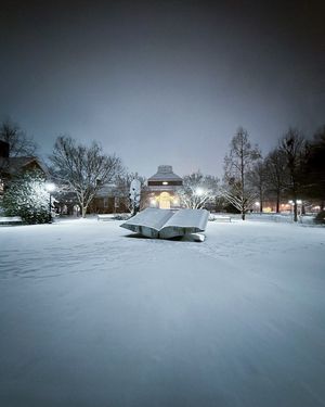 Image post by @udelaware on Instagram