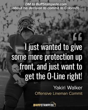 Image post by @buffstampededotcom on Instagram